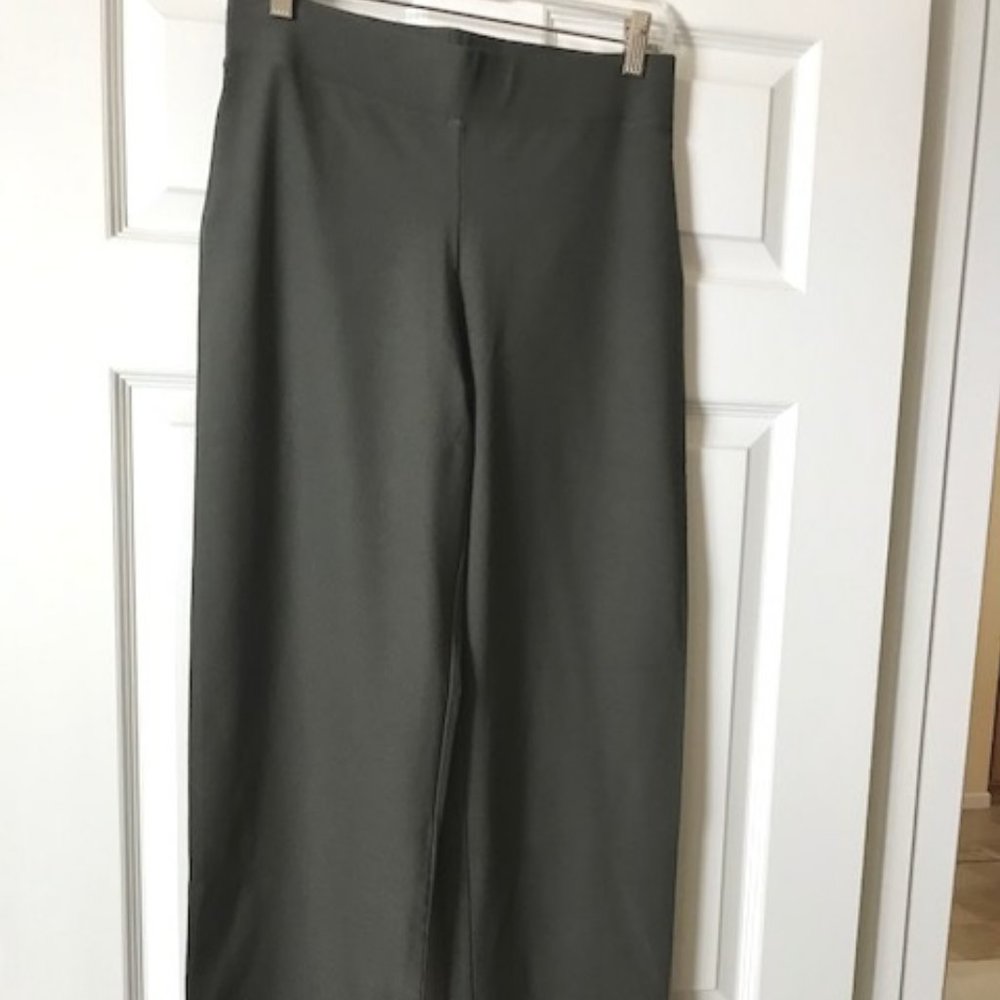 Eileen Fisher pull-on waist green knit pant S/P